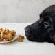 Dog Bone Mix and Pan Set