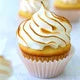 Meringue Powder