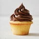 Chocolate Buttercream Frosting Mix
